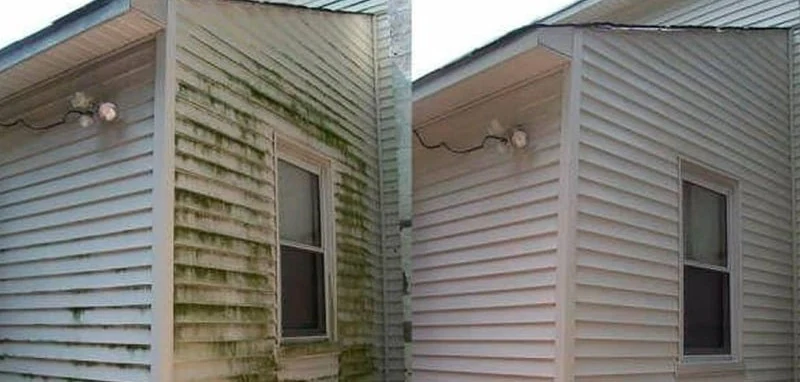 A corner of siding covered in green algae, and the same corner clean