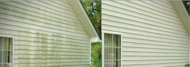 Green stains on siding, and the same wall clean