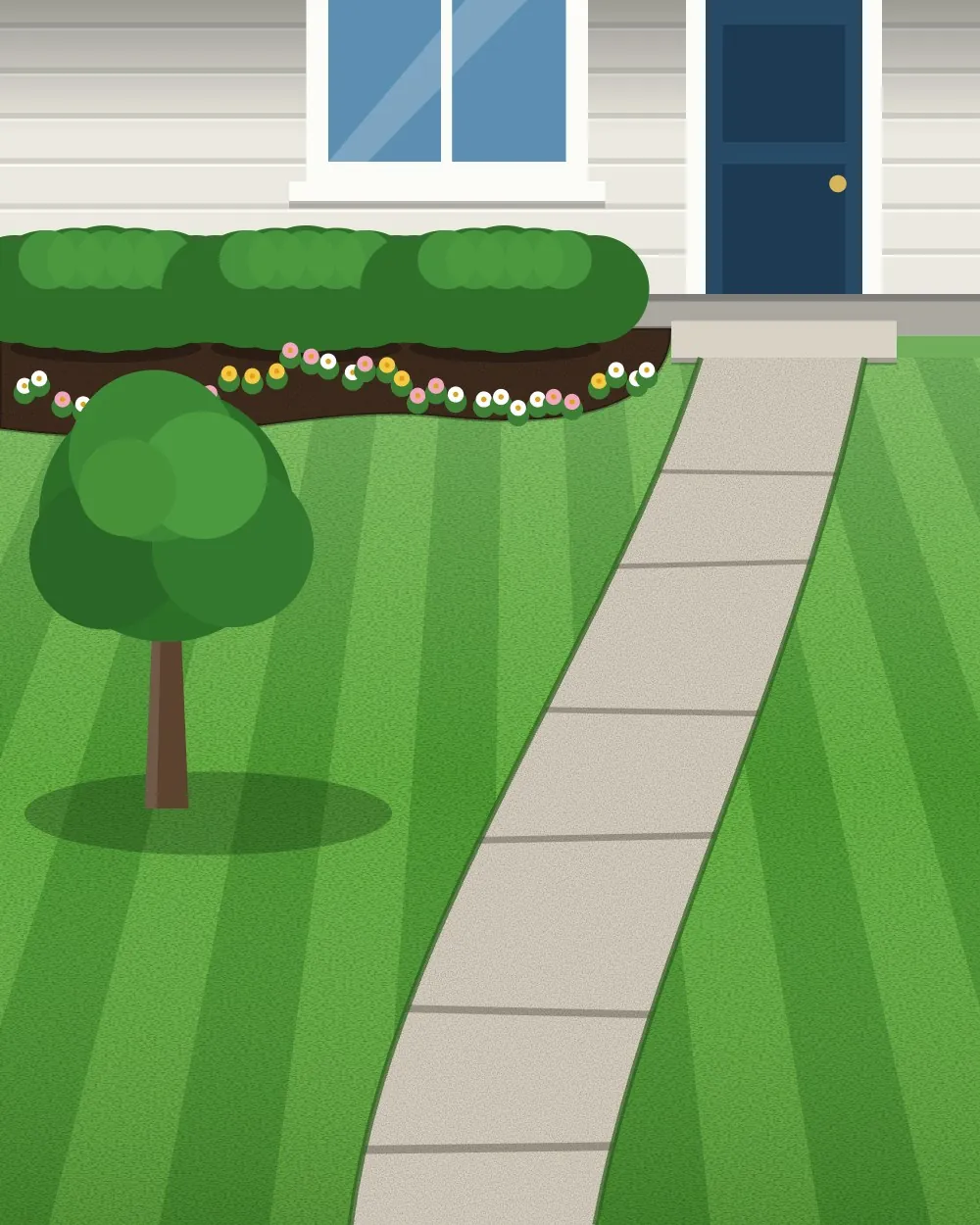 A front yard with a striped lawn, trimmed hedges, flowers and a clean stone path